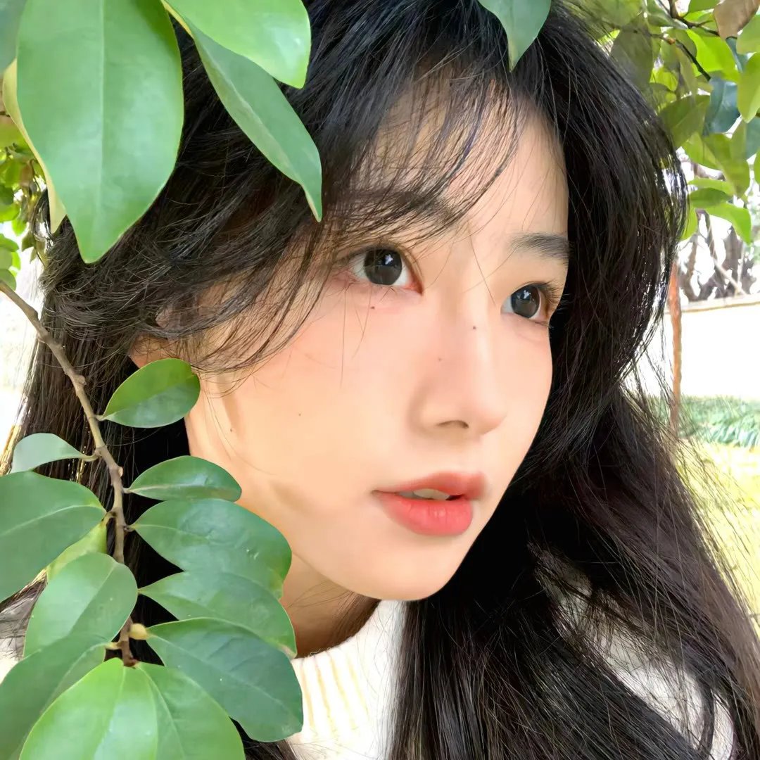 比基尼月亮